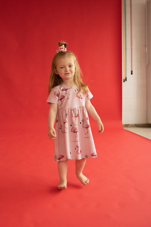 Kleid – Flamingo